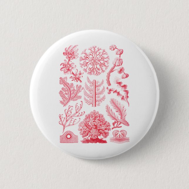 Florideae 2 Inch Round Button (Front)