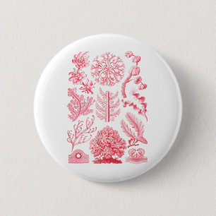 Florideae 2 Inch Round Button
