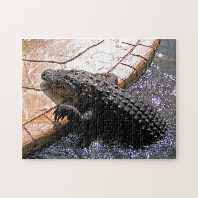 Floridian Alligator, Jigsaw Puzzle (Horizontal)
