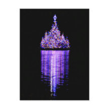 Flotilla of Christmas Trees, NYC - 