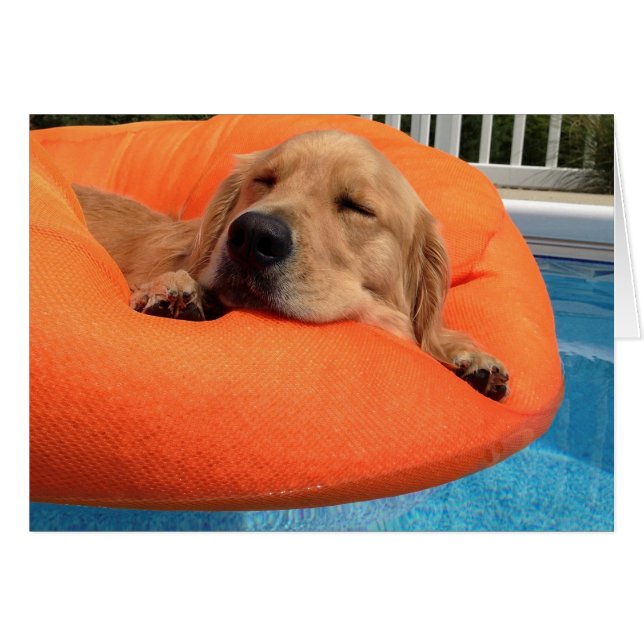 Flotte d'été (Devant horizontal)