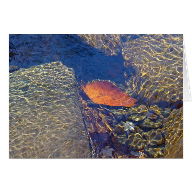 Flottement par (Devant Horizontal)