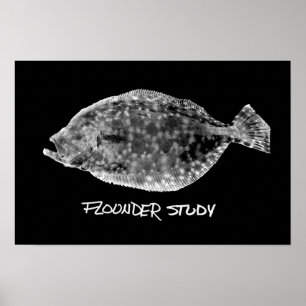 Flounder Study print "VERY POPULAR"