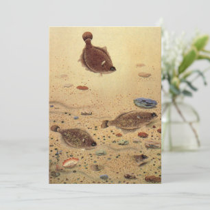 Flounders or Flat Fish, Vintage Marine Ocean Life Invitation