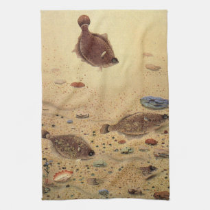 Flounders or Flat Fish, Vintage Marine Ocean Life  Kitchen Towel