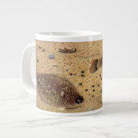 Flounders or Flat Fish, Vintage Marine Ocean Life 