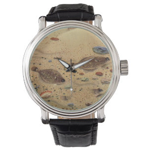 Flounders or Flat Fish, Vintage Marine Ocean Life  Watch