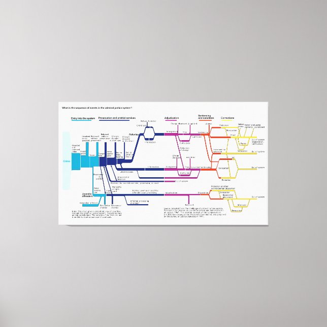 Flow Chart USA American Criminal Justice System Canvas Print (Front)