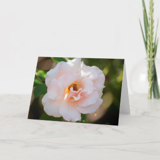 Flower #0724 card