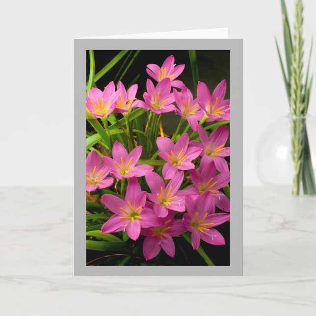 Flower 11 Pink rain lilies Card (Front)