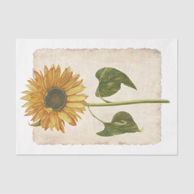 Flower 34 Yellow Sunflower Decoupage Tissue Paper (Front)