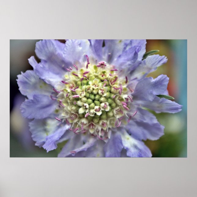 Flower #3 poster (Front)
