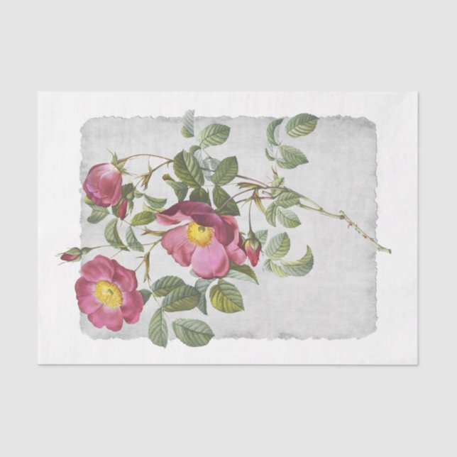 Flower 45 Pink Decoupage Tissue Paper (Front)