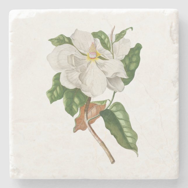 Flower: A004 Magnolia - Stone Coaster (Front)