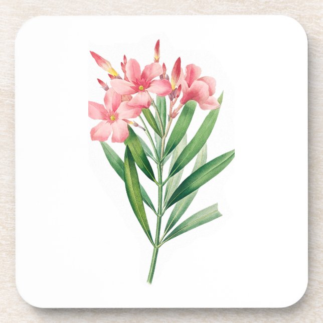 Flower: A005 Oleander - Coaster (Front)