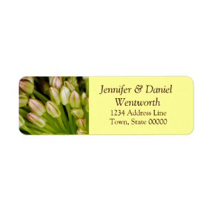 Flower Address Labels Tulips