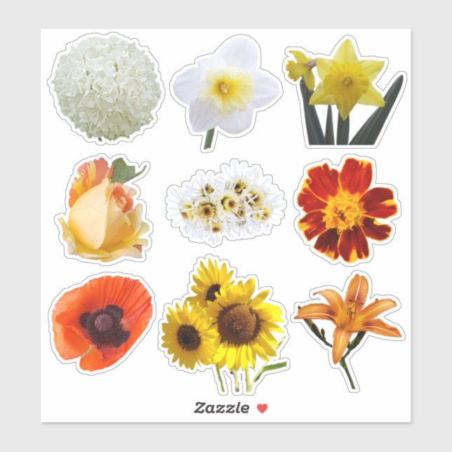 Flower Assortment in White Yellow Orange (Sheet)