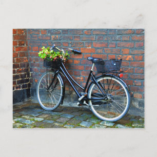 Flower Basket Bicycle, Copenhagen, Denmark Postcard