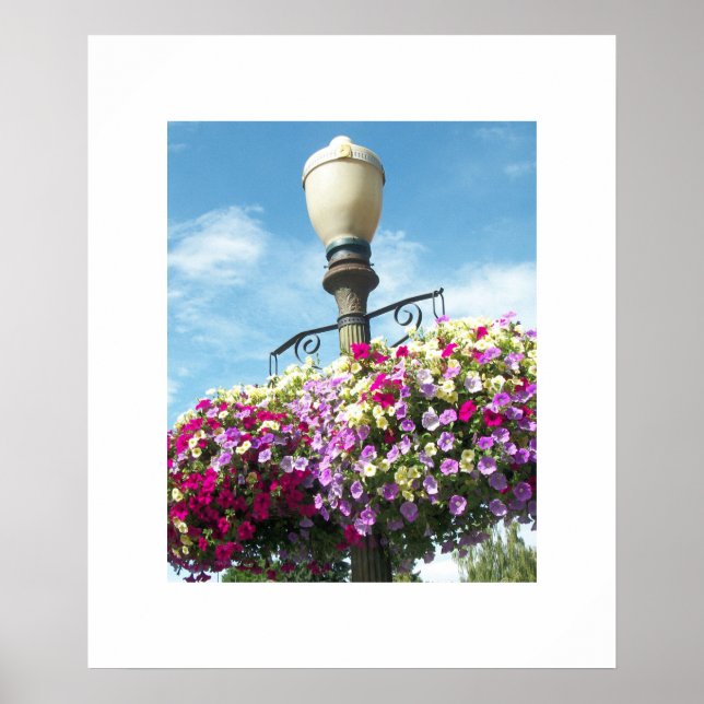 Flower Baskets Poster (Front)