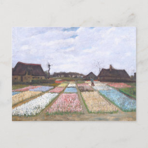 Flower Beds in Holland by Vincent van Gogh Postcard