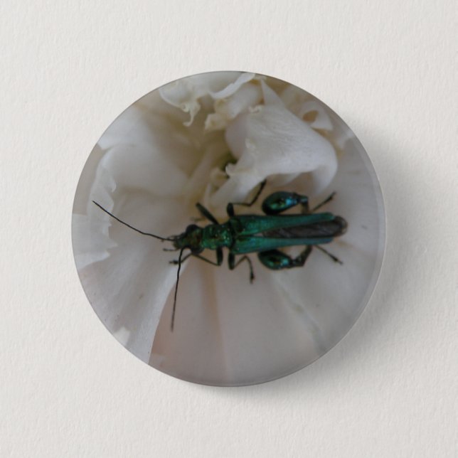 Flower Beetle Button (Front)