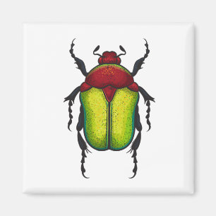 Flower beetle magnet