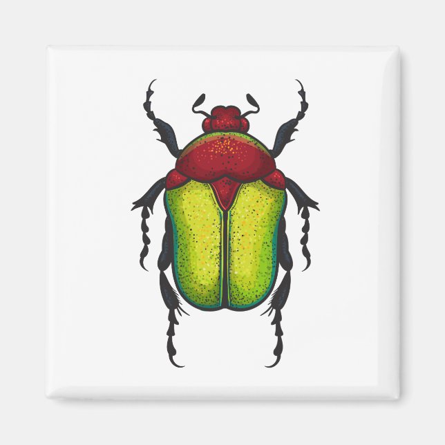 Flower beetle magnet (Front)