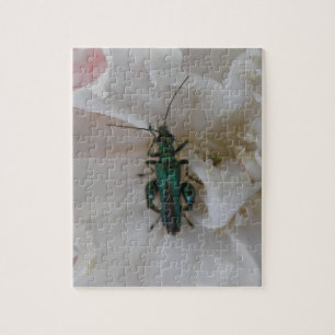 Flower Beetle Puzzle