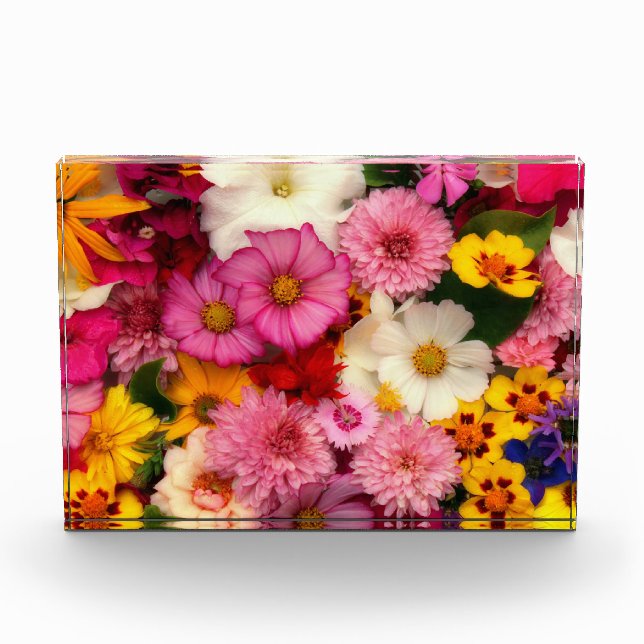 Flower Blast Photo Block (Front)