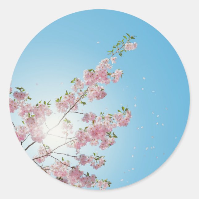 flower blossom close up classic round sticker (Front)