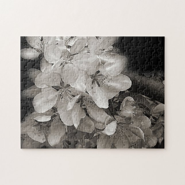 Flower Blossoms In Black And White Nature Jigsaw Puzzle (Horizontal)