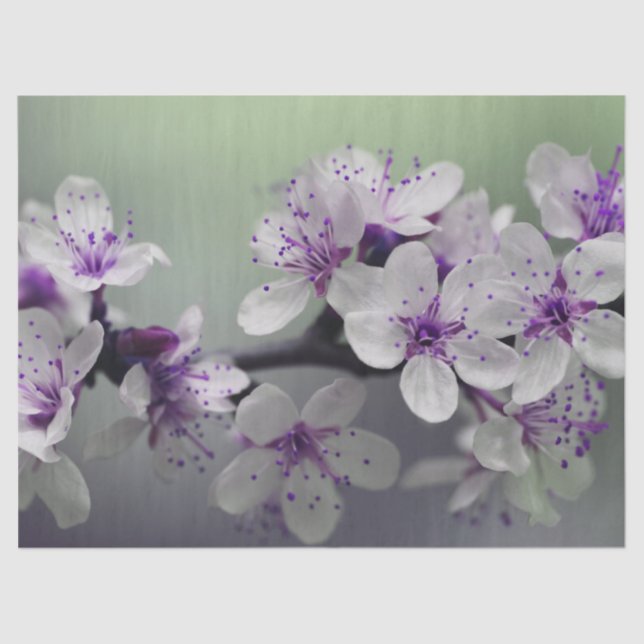 flower blossoms tissue paper (Front)