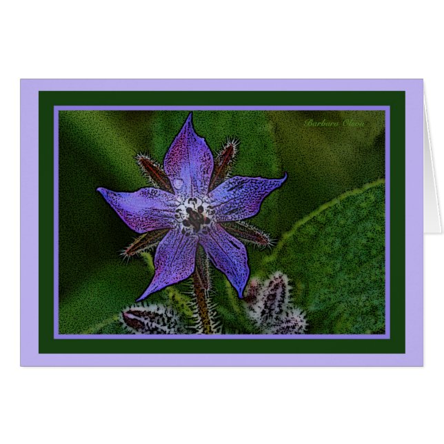 Flower: Borage (Front Horizontal)