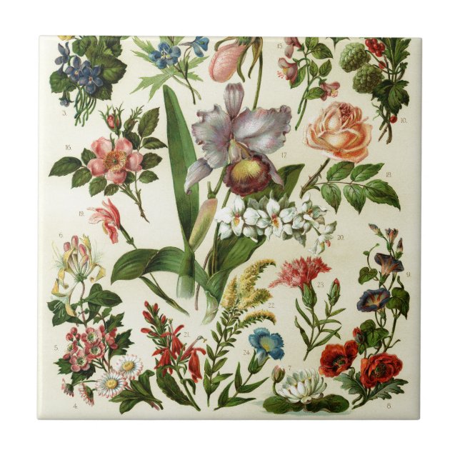 Flower Botanicals Tile (Front)