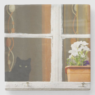 Flower by the window, Sighisoara, Romania Stone Coaster