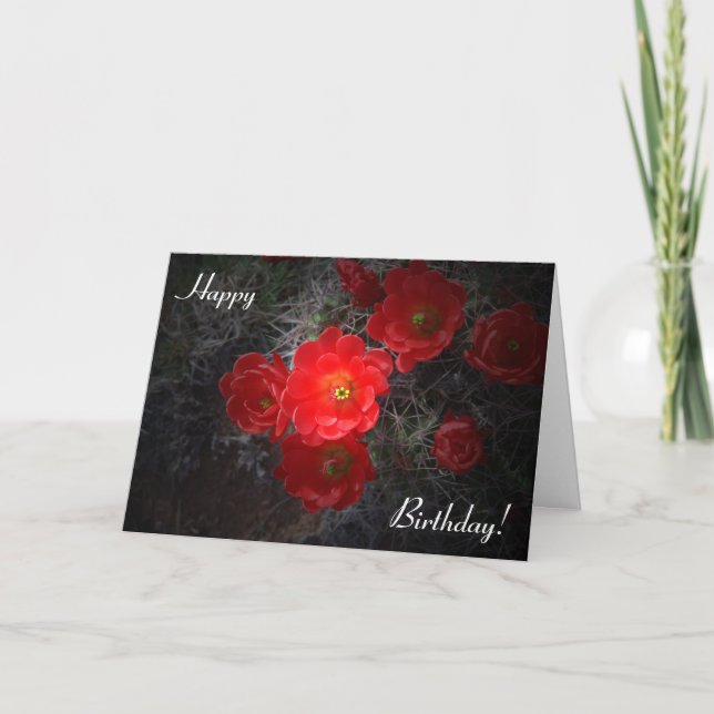 Flower Cactus Carte d'anniversaire (Devant)