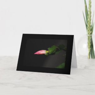 Flower Cactus Christmas Bloom Holiday Card