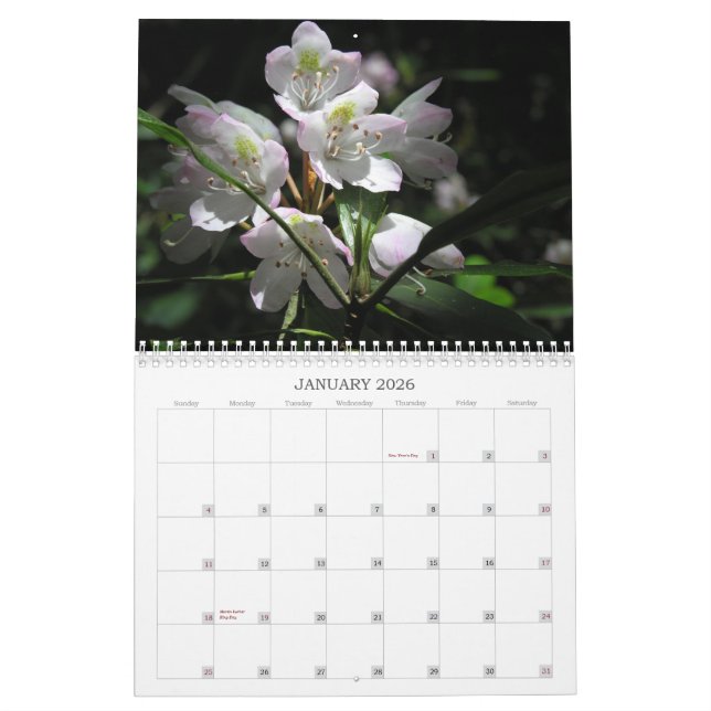 Flower Calendar (Jan 2026)