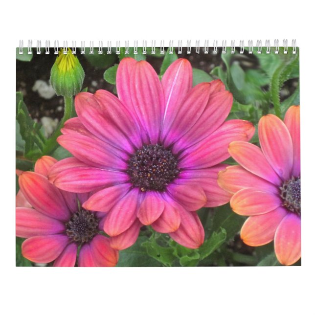 Flower Calendar (Back)