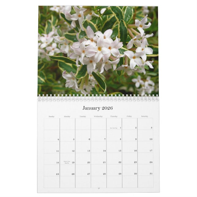 Flower Calendar 2013 (Jan 2026)