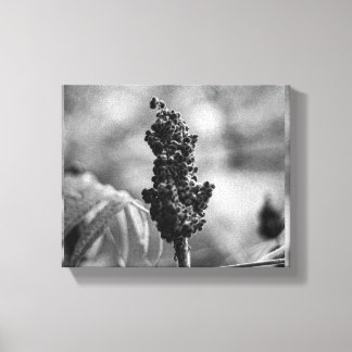 flower canvas print
