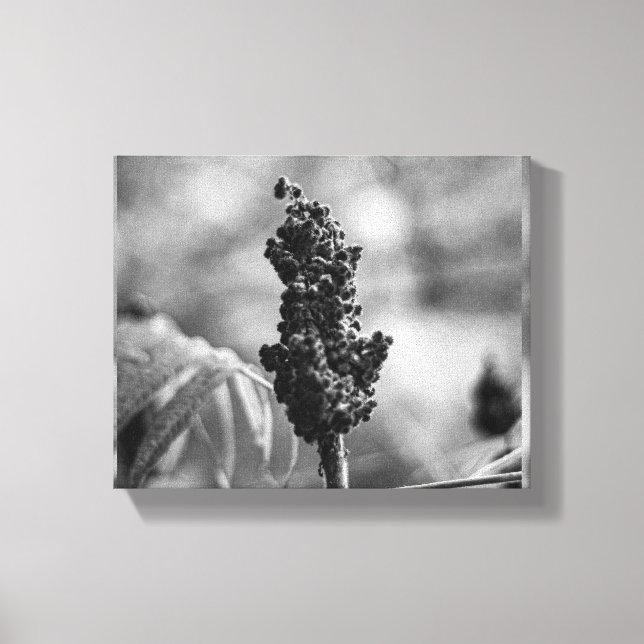 flower canvas print (Front)