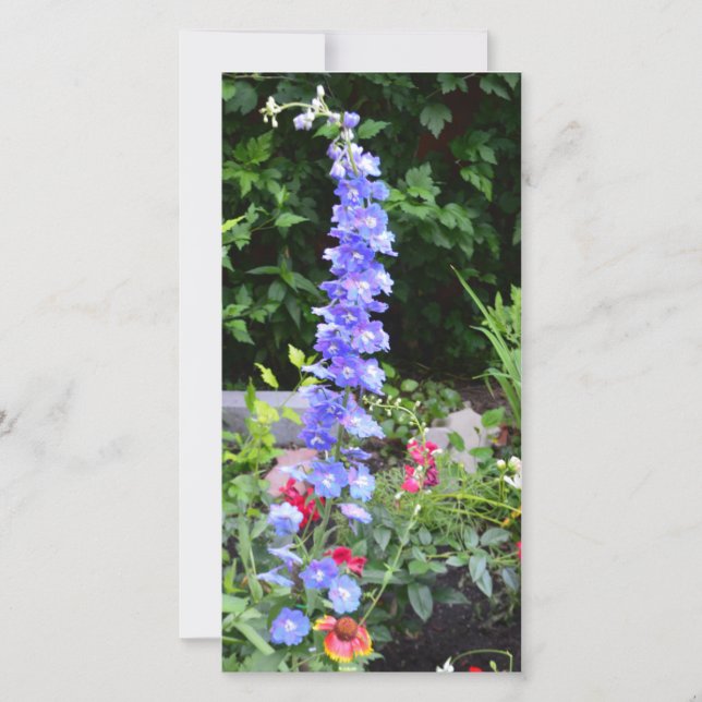 flower card blank (Front)