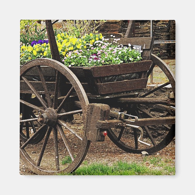 Flower Cart Magnet (Front)
