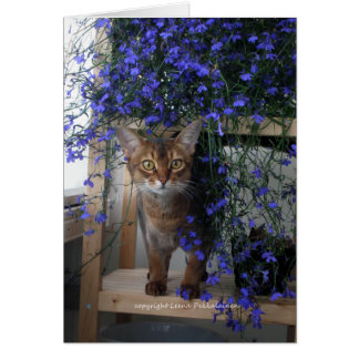 Flower Cat