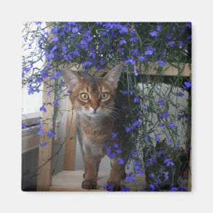Flower Cat Magnet