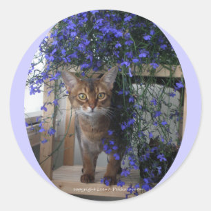 Flower Cat (oval) Classic Round Sticker