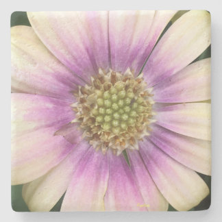 Flower Centre coaster