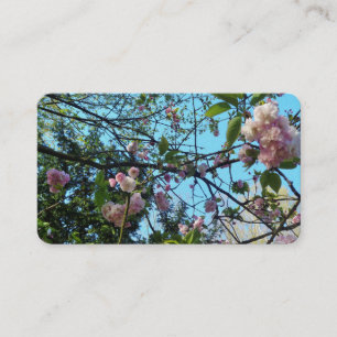 Flower Cherry, Cartes de visite de la nature, rose