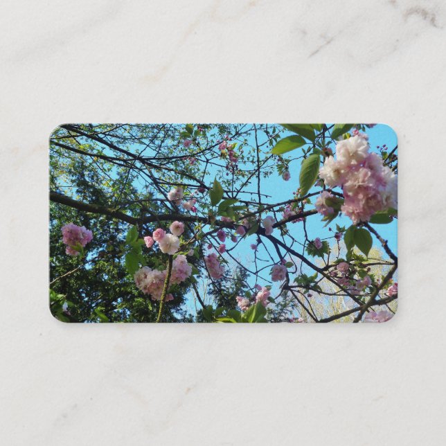 Flower Cherry, Cartes de visite de la nature, rose (Devant)